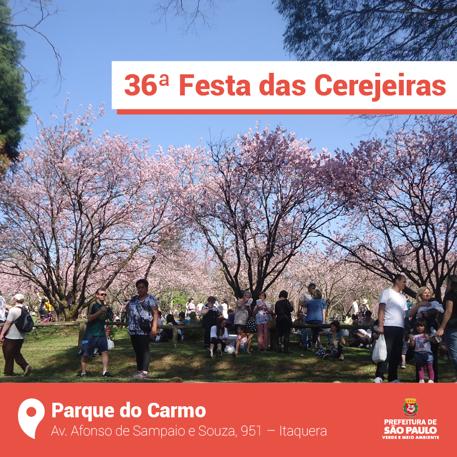 Parque Do Carmo Recebe 36ª Edição Da Festa Das Cerejeiras | Secretaria ...