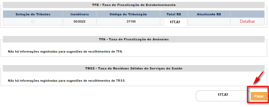 tela tfe icone pagar selecionado
