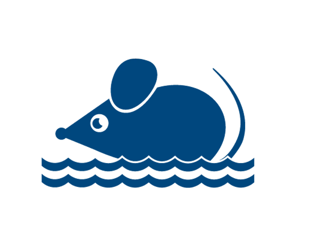 desenho de um rato