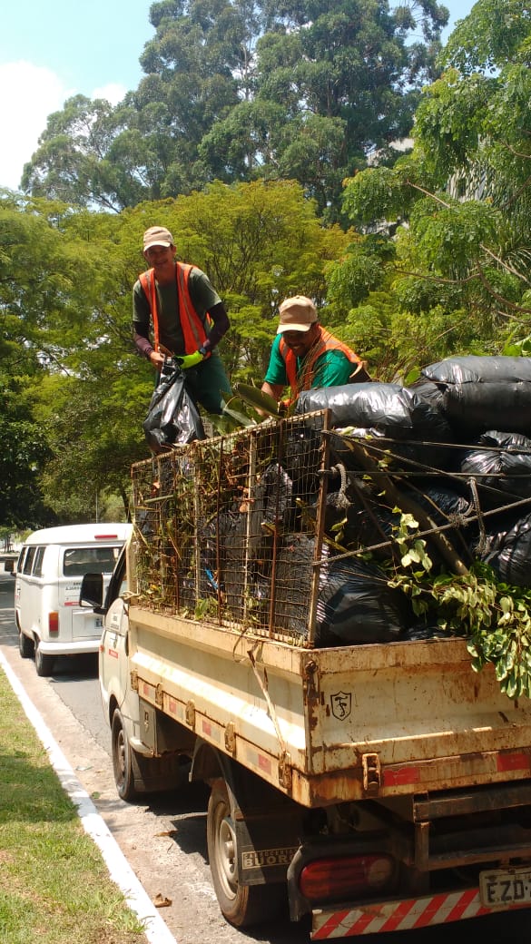 Imagem de dois trabalhadores uniformizados sobre a caçamba de um caminhão carregado com resíduos de poda 