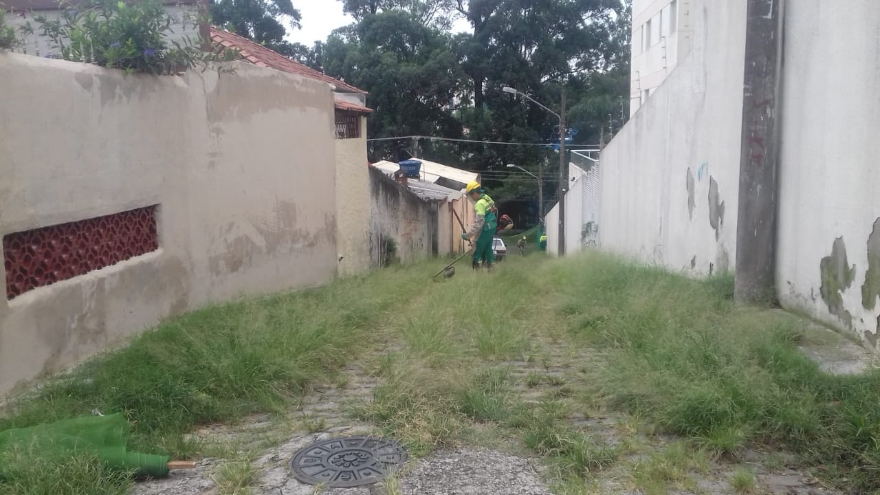 Foto: Viela coberta por grama e um funcionário da Subprefeitura Ipiranga realizando o serviço de capinagem.