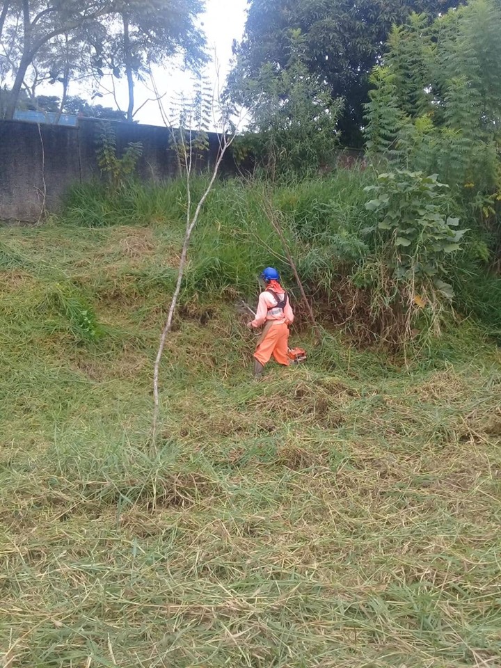 Funcionário de costas cortando mato, veste uniforme laranja e capacete azul.