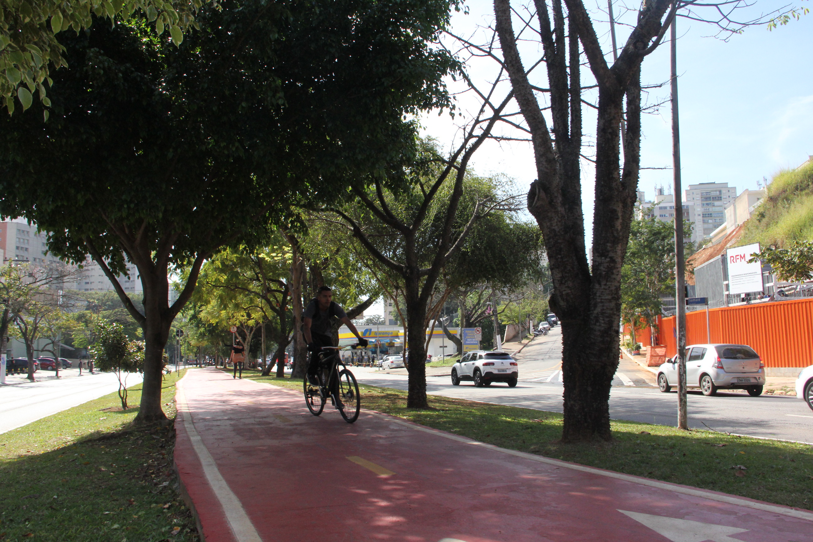 Foto da Avenida Sumaré mostra pistas e canteiro central ao meio com bicicletas em circulação e carros em movimento nas pistas 