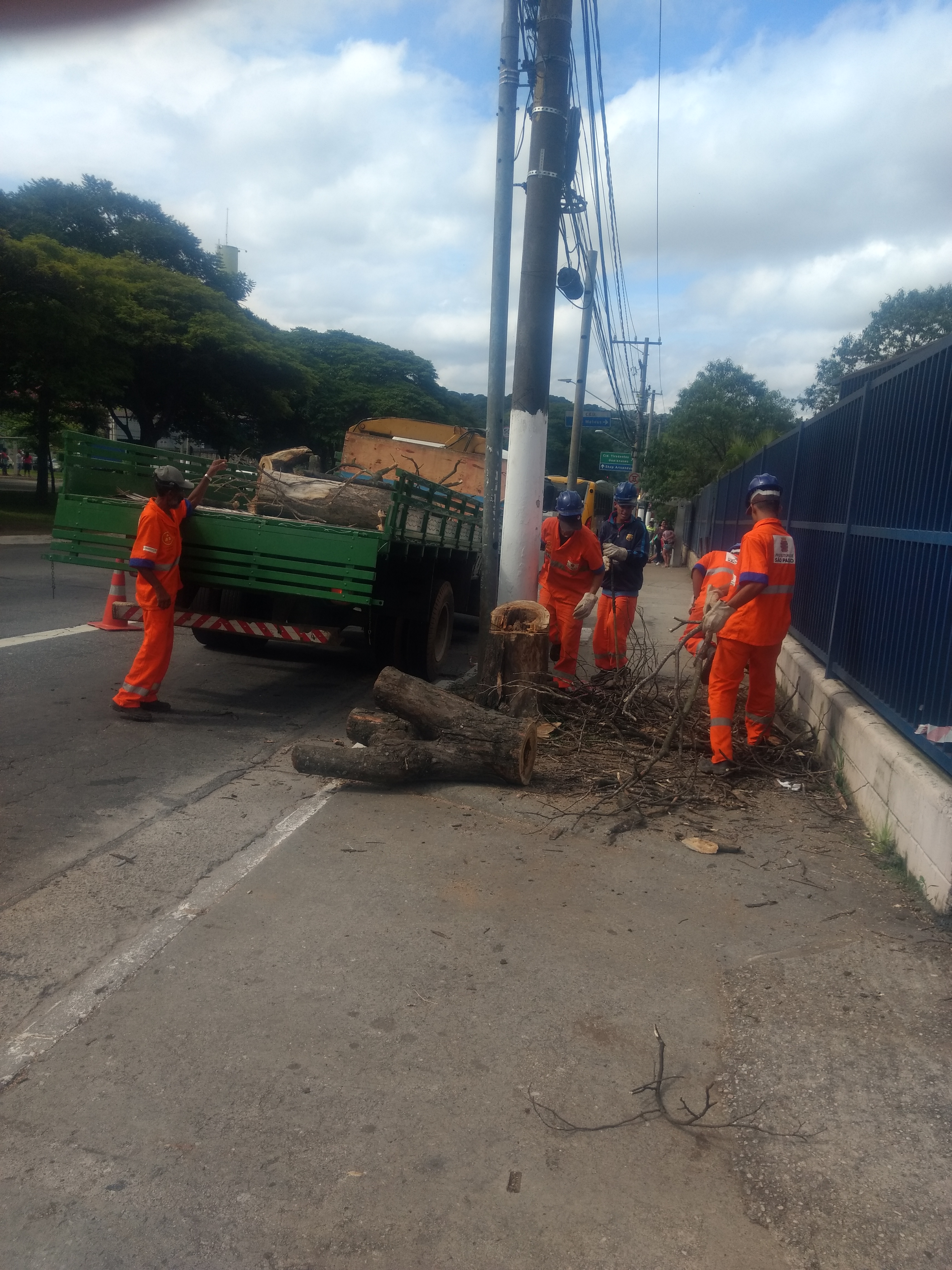 Trabalhadores uniformizados de laranja e protegidos com capacetes carregam galhos da árvore cortada para um caminhão estacionado à beira do tronco. 