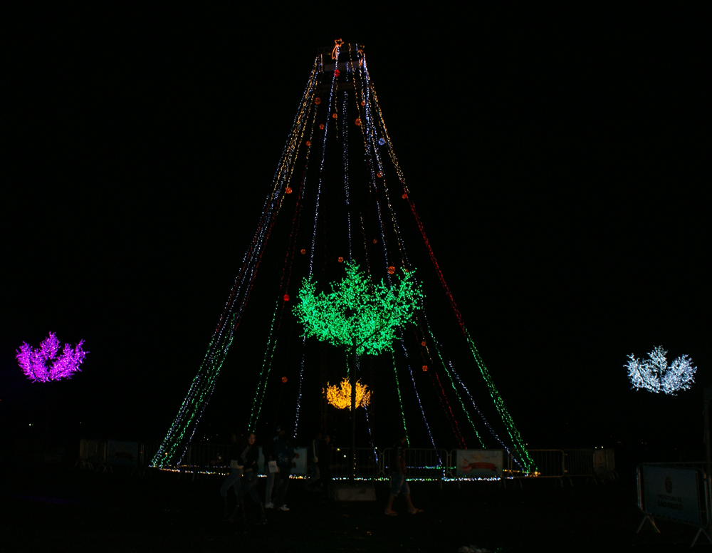 Árvore de Natal Iluminada da região