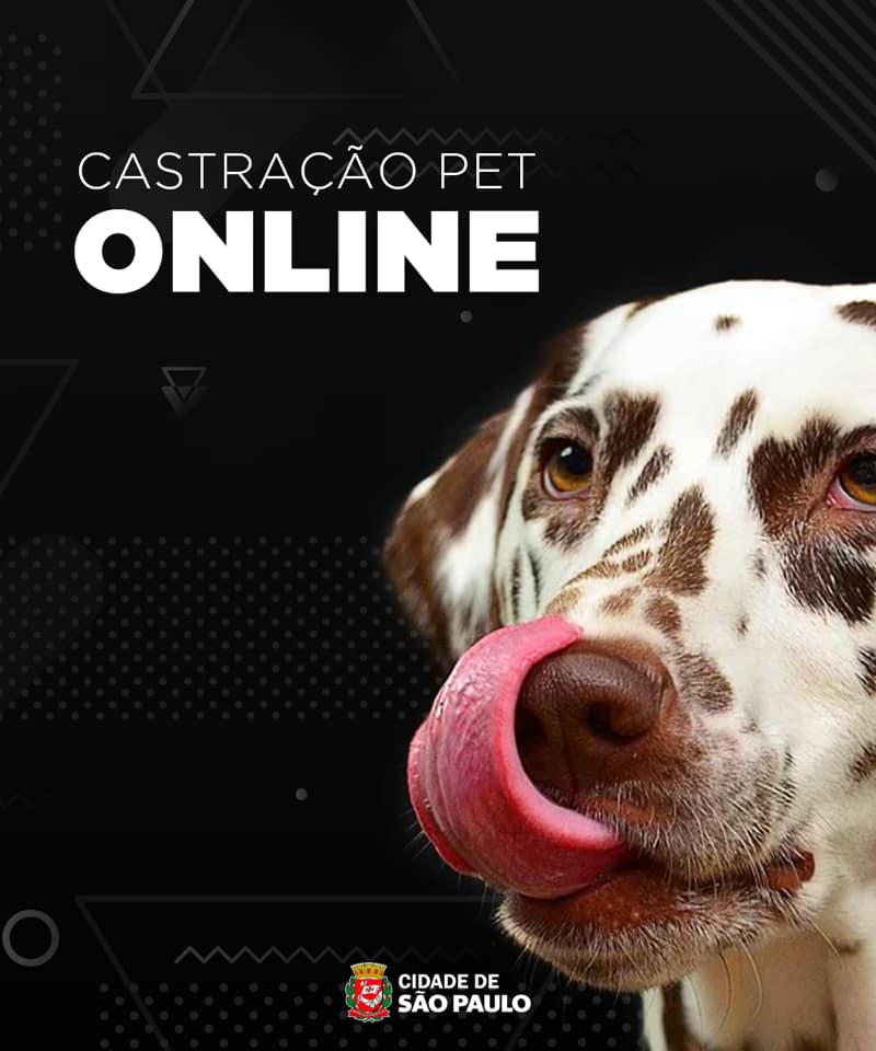 A imagem mostra um dálmata do lado direito. O fundo é preto e possui um padrão geométrico. Do lado esquerdo, na cor branca, está escrito "Castração Pet Online" e no rodapé está o logotipo da Cidade de São Paulo.