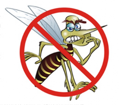 Combate contra a dengue no Jd. Ângela