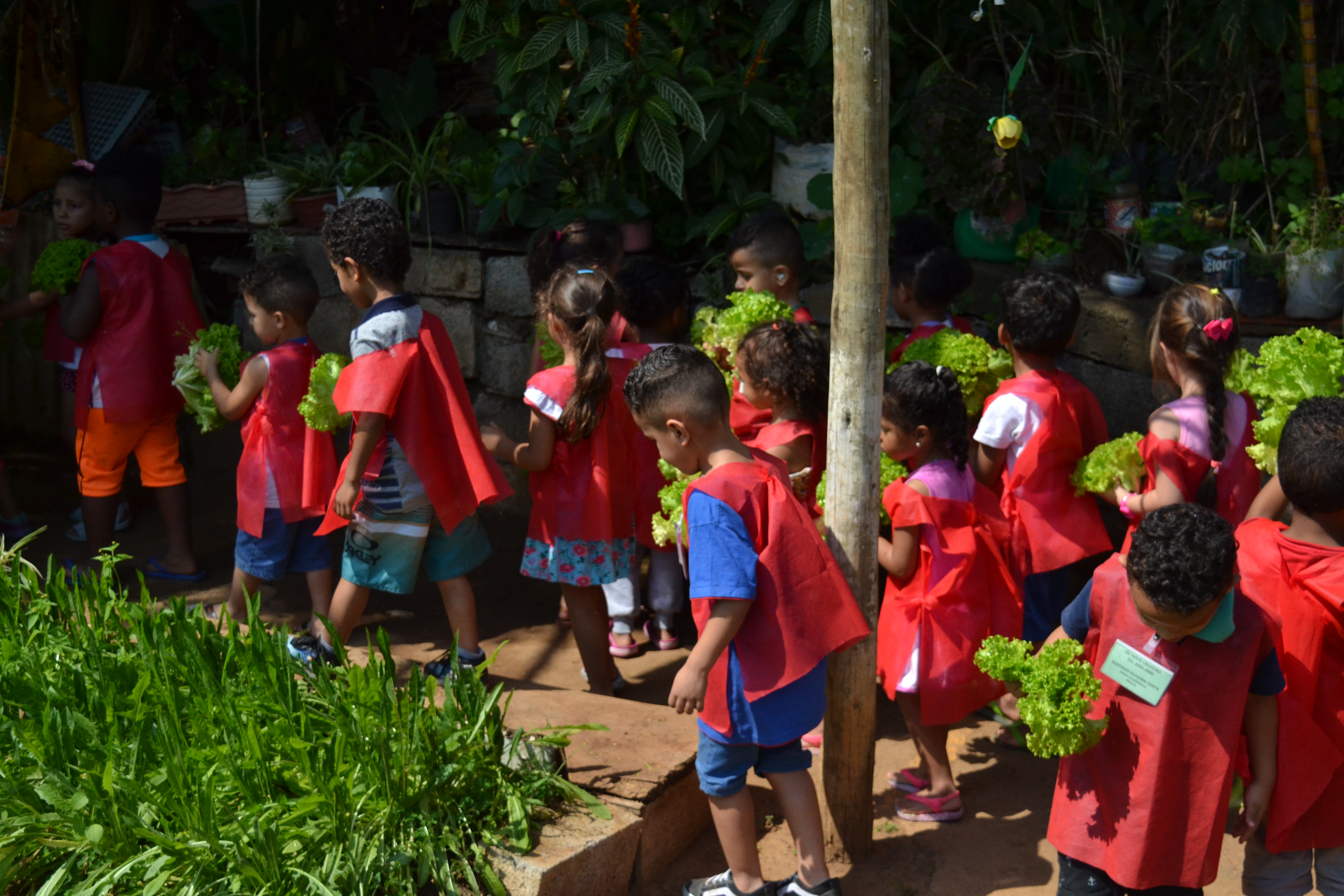 Foto da horta da Subprefeitura Itaim Paulista com crianças com jaleco vermelho enfileiradas segurando alfaces.