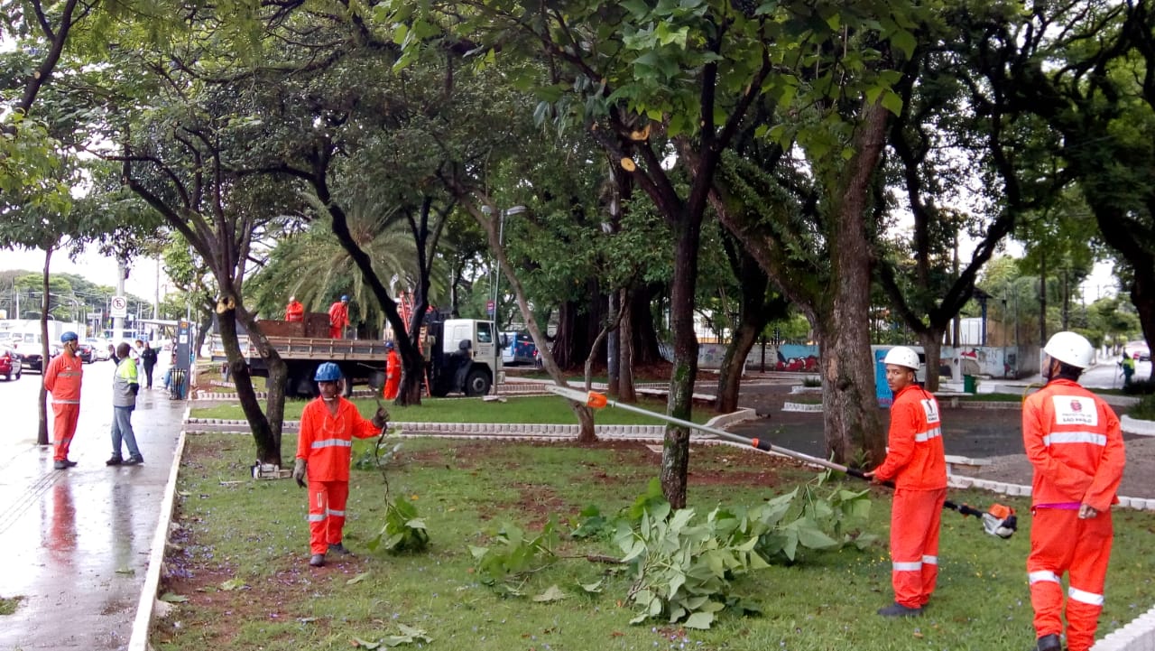 Prefeitura de Jataí realiza mutirão de poda e limpeza na Praça da Bíblia