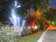 A Praça da Matriz recebeu uma iluminação especial de natal atraindo curiosos e moradores do bairro.