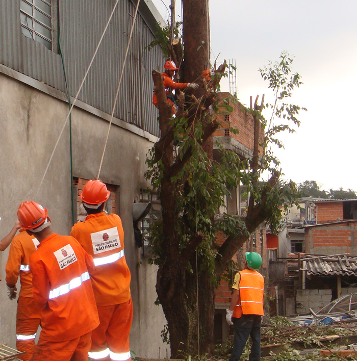 Equipes da Subprefeitura removendo árvore na região