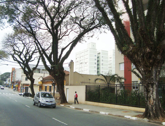 Árvores da Rua Maria Cândida, uma das principais da Vila Guilherme, já foram cadastradas