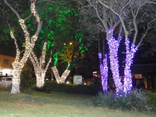 A Praça Luisa Mahin recebeu iluminação de natal