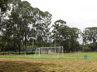 Parque Leopoldina Orlando Villas-Bôas recebe jogo decisivo do campeonato  brasileiro de futebol americano, Secretaria Municipal do Verde e do Meio  Ambiente