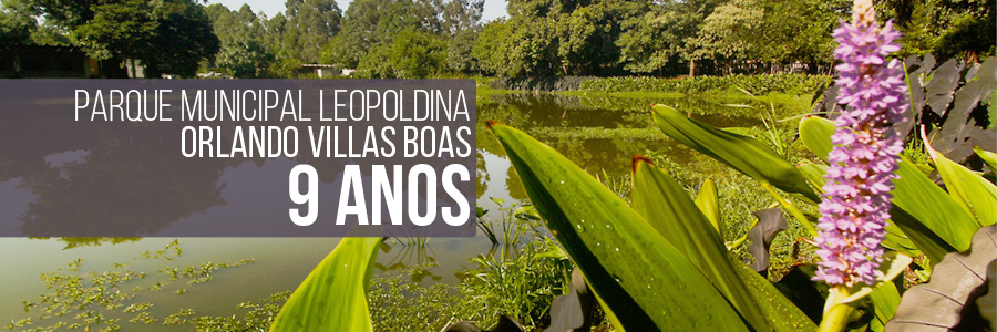 Parque Orlando Villas Bôas recebe Final de Campeonato de Futebol Americano, Secretaria Municipal do Verde e do Meio Ambiente
