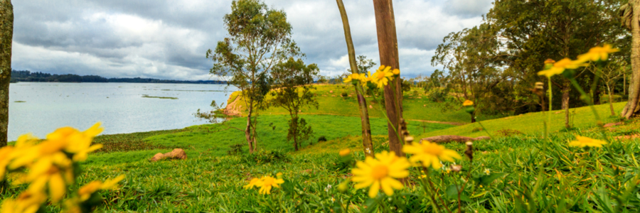 Bom Dia SP, Quadro Verde mostra a relação da cidade com a natureza