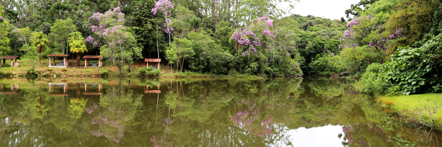 Foto do lago do Parque Nascentes do Ribeirão Colônia inaugurado no início deste mês de fevereiro na região de Parelheiros.