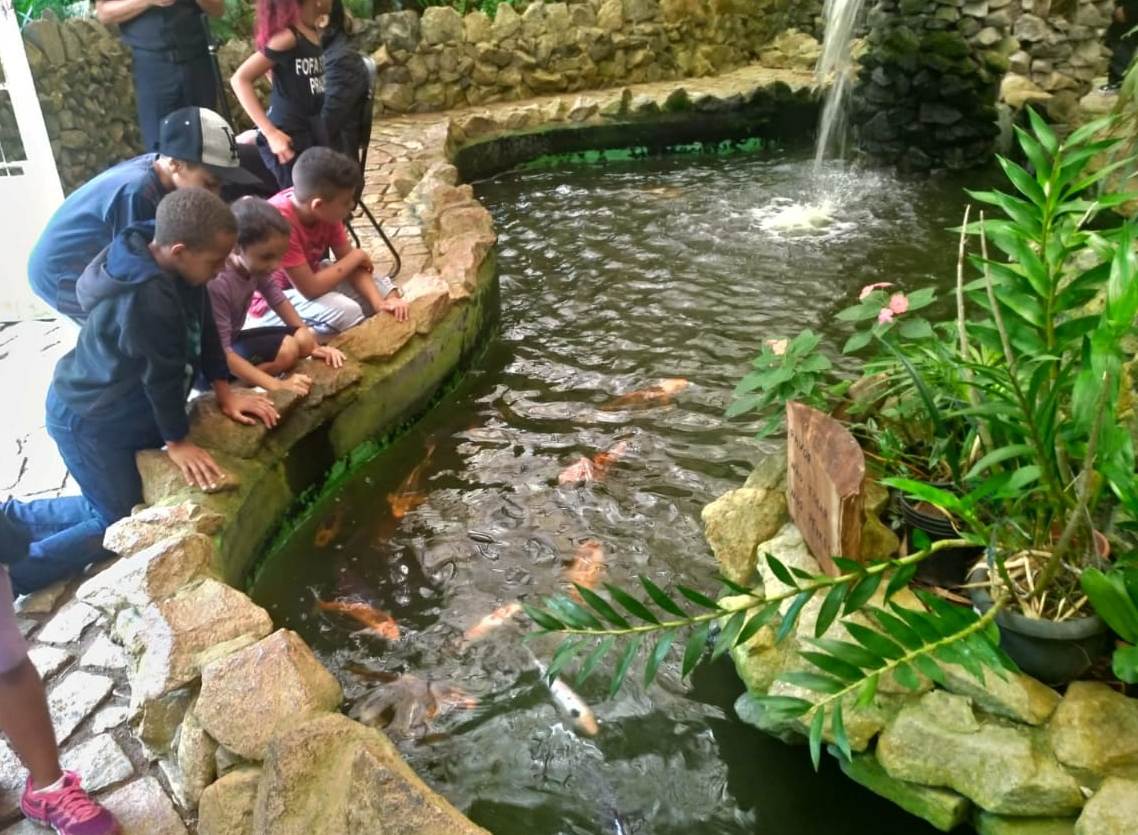 Quatro crianças observando peixes do lago artificial do Parque Municipal Anhanguera.