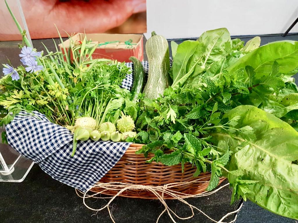 Cesta de palha com hortaliças orgânicas como couve, salsinha e alface do projeto Horta Escola 