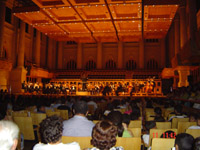 Crianças assistem todo domingo à Orquestra Sinfônica de São Paulo