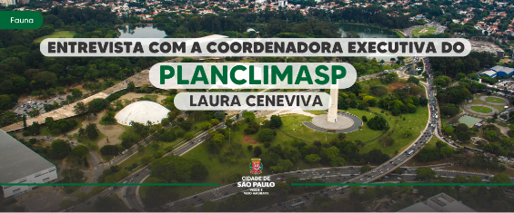 Saguis da Cidade de São Paulo, Secretaria Municipal do Verde e do Meio  Ambiente