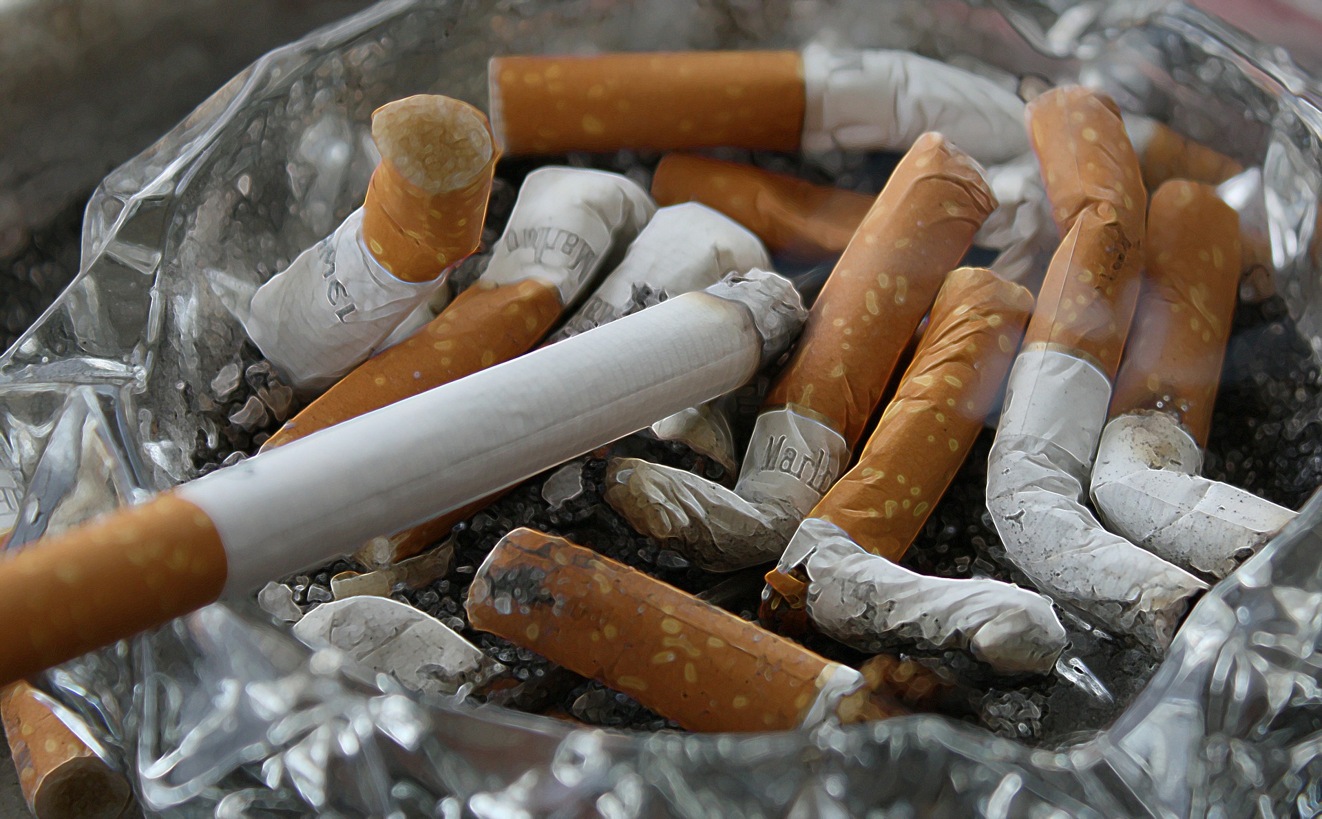 Na imagem há vários cigarros apagados dentro de um cinzeiro cristalino. Os cigarros são brancos com metade marrom. Dentro do cinzeiro há cinzas dos cigarros.