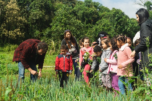 imagem mostra crianças durante aula de agroturismo pedagógico numa horta