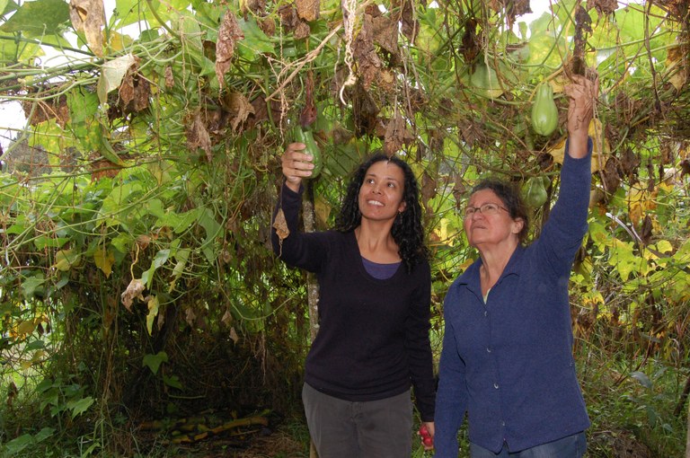 a foto mostra duas mulheres colhendo legumes em horta