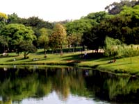 Lago no Ibirapuera será um dos contemplados no programa