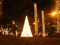 Árvore permanecerá acesa até o dia 24 de dezembro