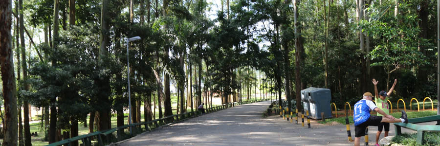 Tanto no lado direito quanto esquerdo, várias árvores altas com folhagens verdes; no meio um caminho onde as pessoas se exercitam