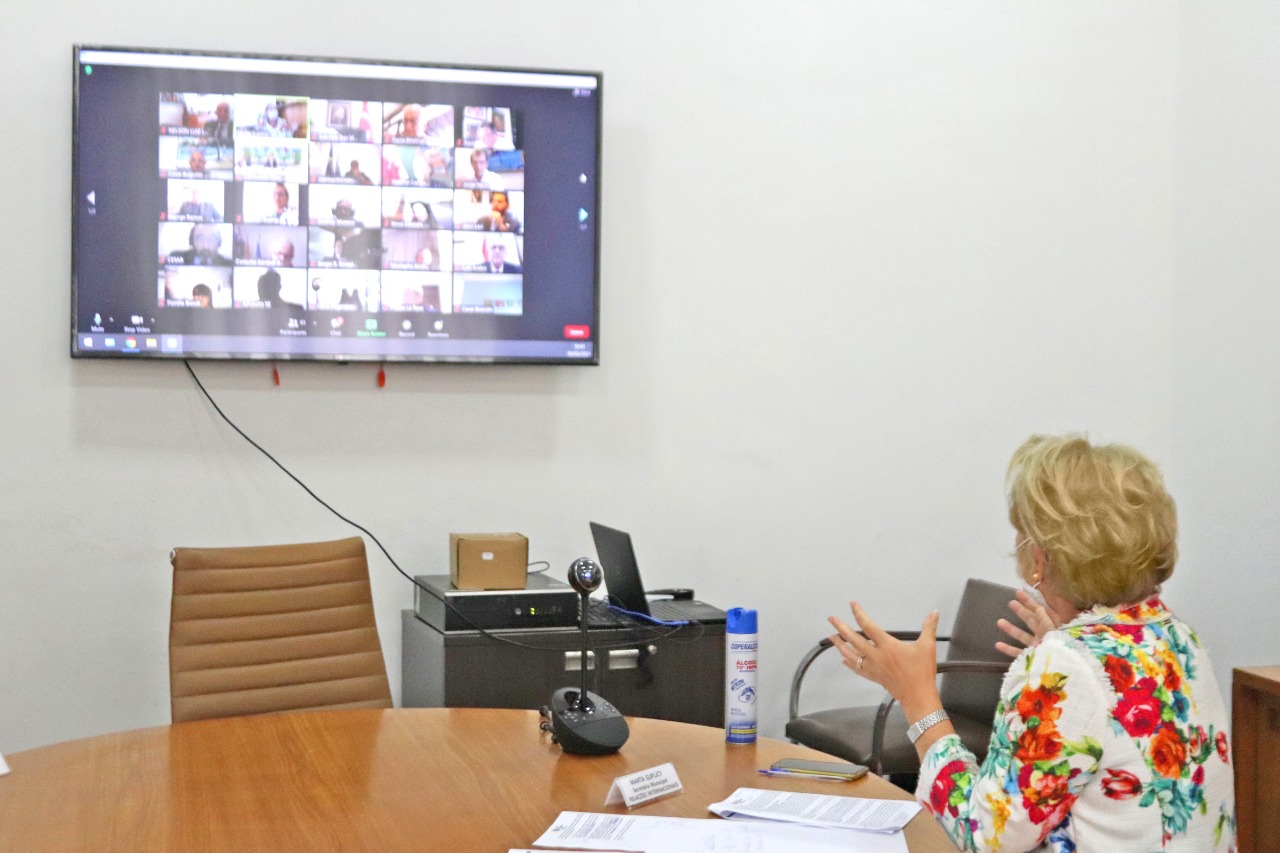 Foto da Secretária Marta com a tela da videoconferência ao fundo.