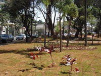 Praça Heraldo Barbuy recebeu novas plantas e poda de árvores