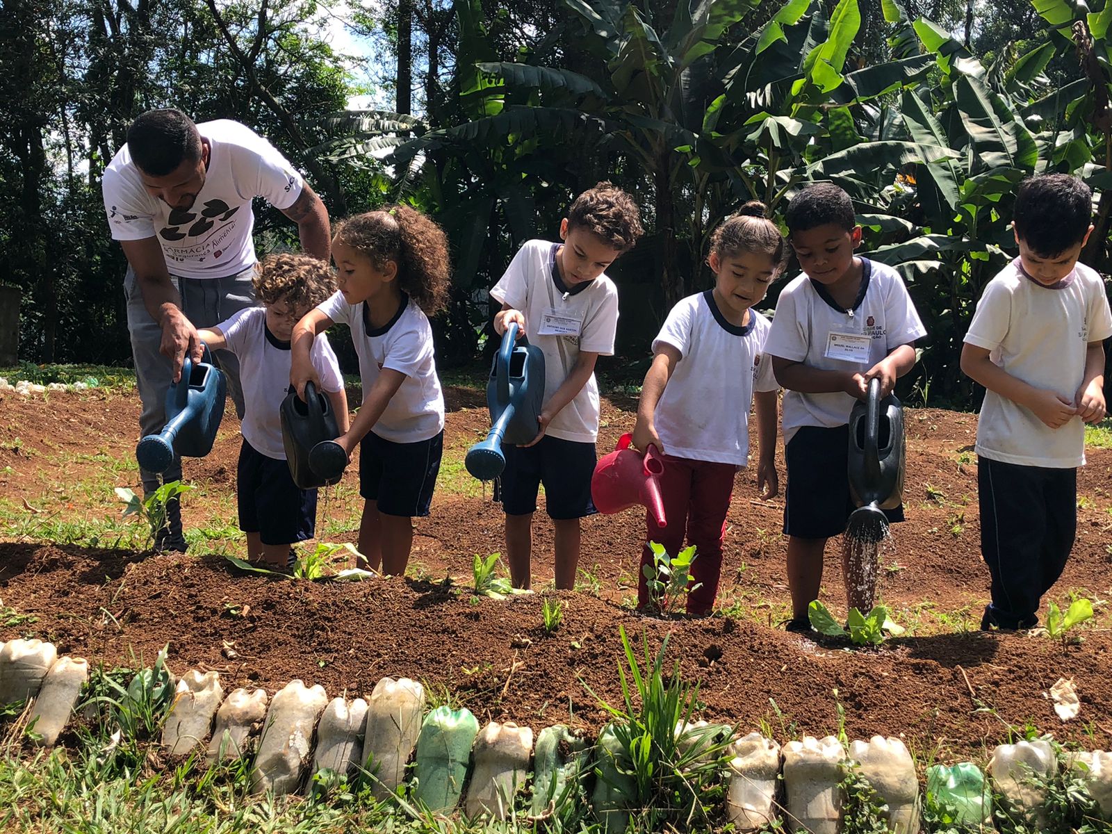 A foto mostra um grupo de crianças com regadores nas mãos, molhando plantas em uma horta