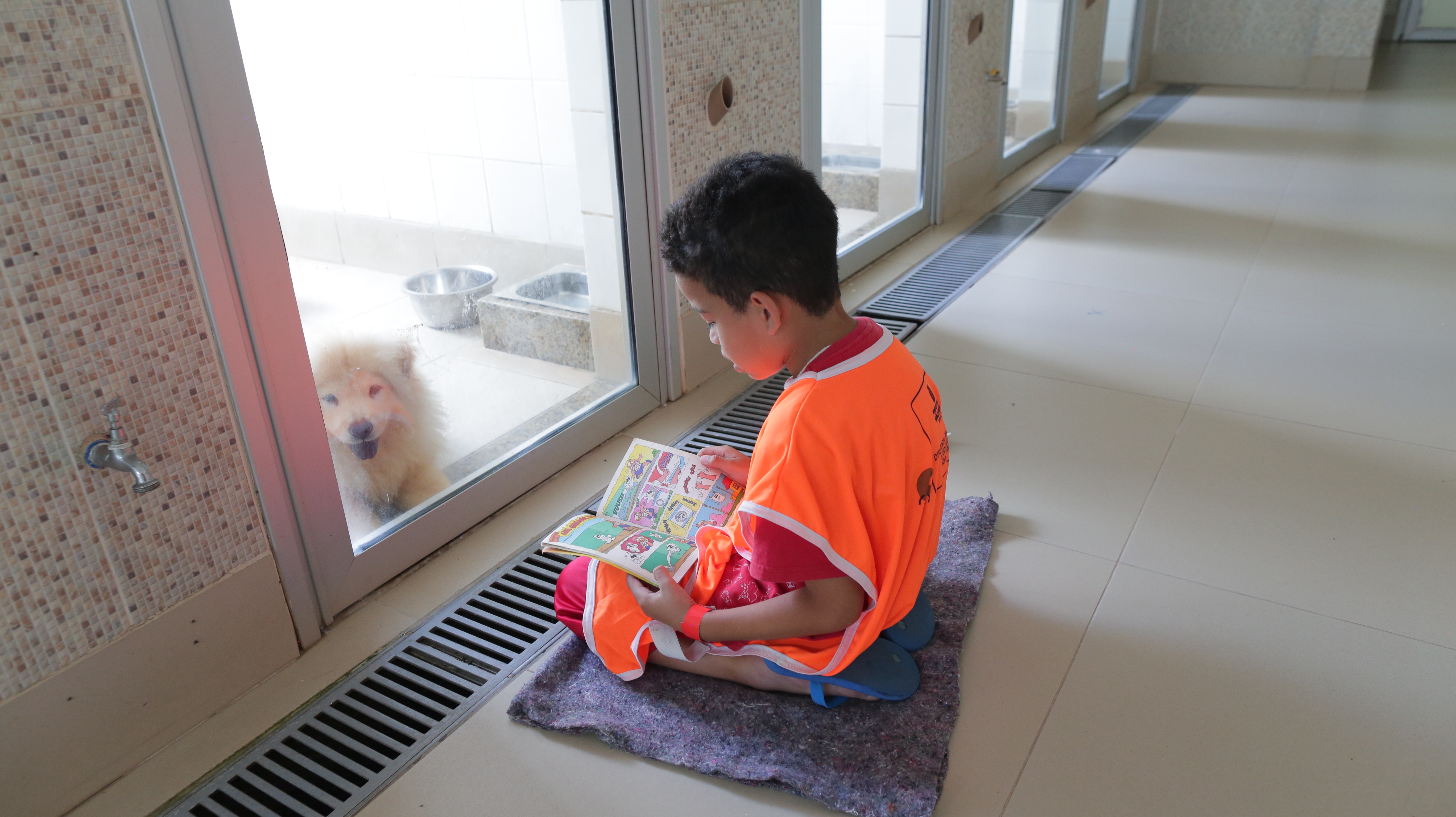 A foto mostra um menino de seis ou sete anos sentado em frente a um canil, no qual se vê um cachorro de pelos compridos e porte médio; o menino está lendo uma revista de história em quadrinhos para o cachorro