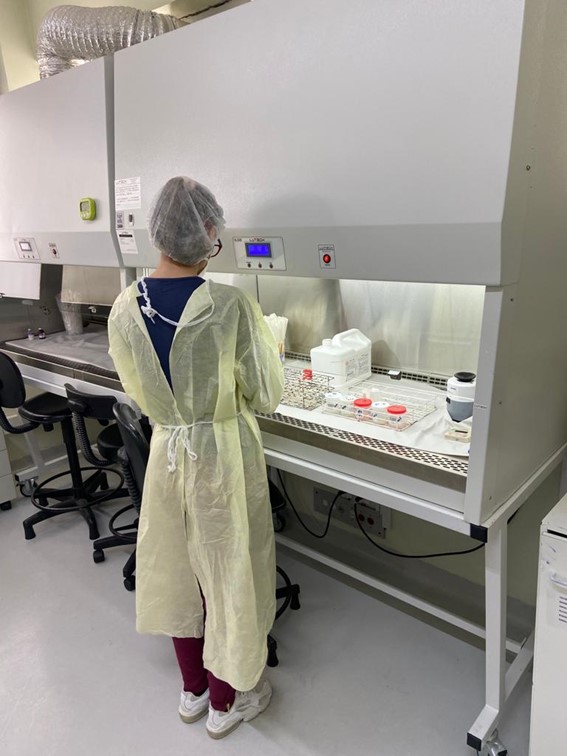 A imagem mostra um profissional trabalhando no laboratório.