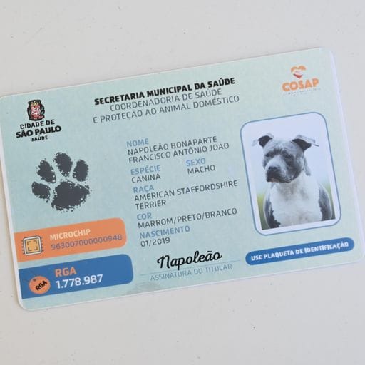 A imagem mostra o novo RGA em forma de cartão que tem o nome do animal,  foto, número do microchip e outras informações sobre o animal.