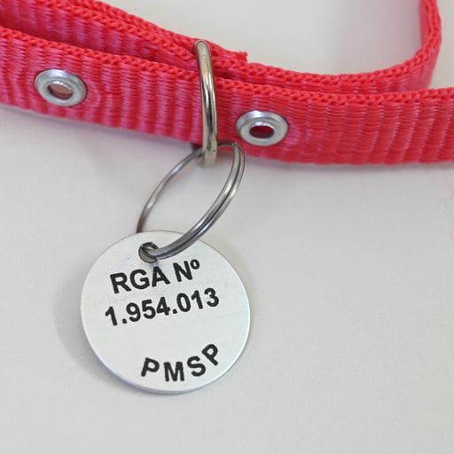 A imagem mostra uma coleira vermelha com uma plaqueta escrito o número do RGA do animal.
