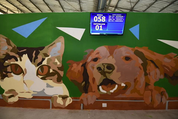 Grafite colorido em tons de verde, marrom e azul. Do lado esquerdo há a ilustração de um gato e do lado esquerdo a de um cachorro.No topo da parede há um painel eletrônico de senha.