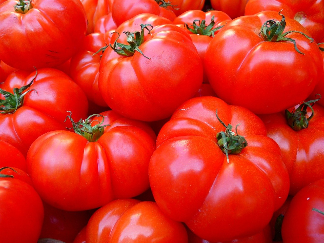 Na imagem, estão vários tomates vermelhos amontoados.