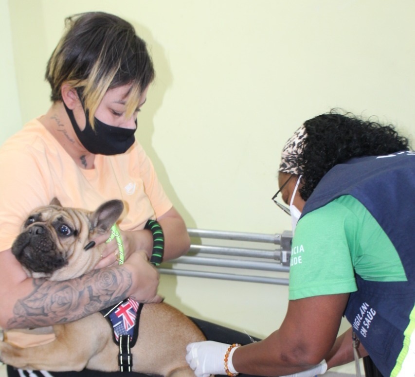 À direita, uma profissional de saúde usando jaleco azul está aplicando a vacina em um cachorro, que está sentado no colo de uma pessoa.