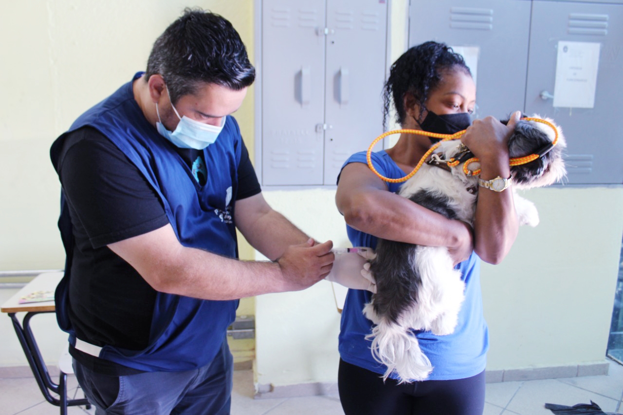Na imagem há um profissional da saúde de lado usando roupa azul e máscara. Ele está aplicando vacina contra a raiva em um cachorro que está no colo de uma mulher. O cachorro possui os pelos brancos e cinzas.
