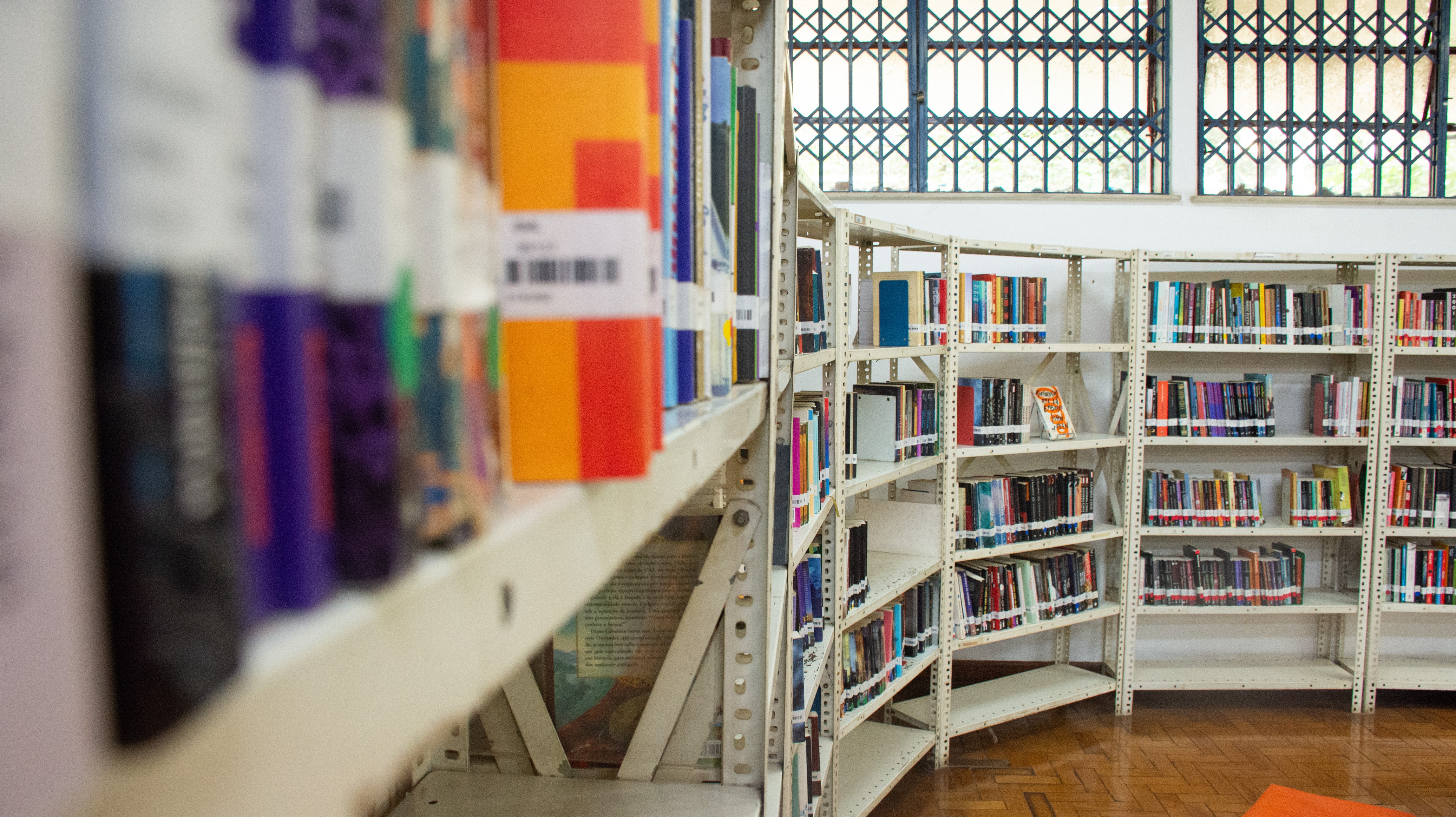 Foto da estante de livros da Biblioteca Monteiro Lobato. (Foto: Divulgação/Gustavo Gonçalves)