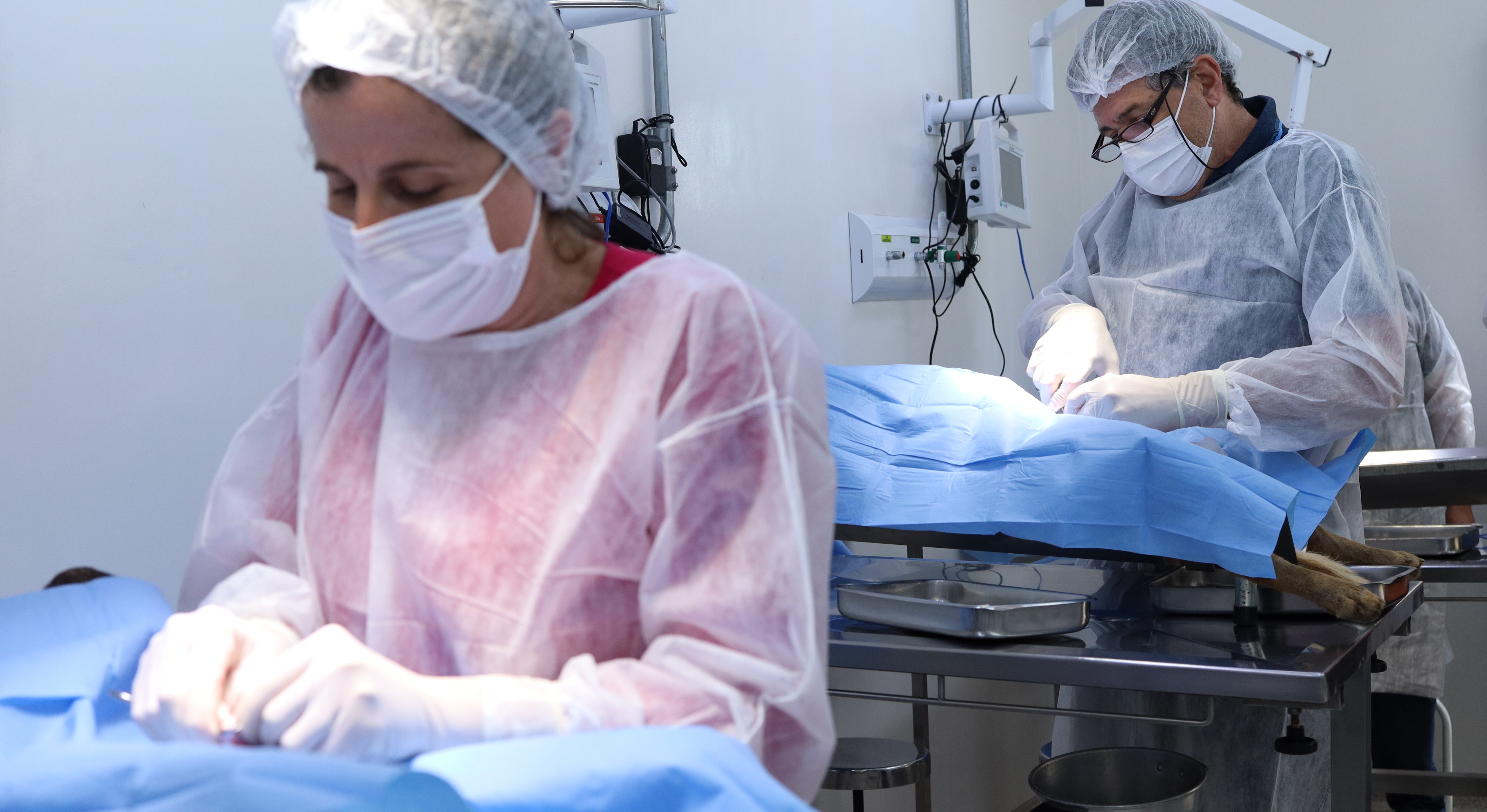 A imagem mostra dois profissionais de saúde em um ambiente cirúrgico, realizando procedimentos simultâneos em mesas distintas. Ambos vestem equipamentos de proteção individual, como toucas, máscaras, luvas e aventais descartáveis, o que indica um contexto de assepsia e cuidado rigoroso.  Em primeiro plano, uma profissional concentra-se em um procedimento, com as mãos iluminadas por uma luz intensa, sugerindo precisão e atenção aos detalhes. Ao fundo, outro profissional executa uma intervenção semelhante em outra mesa, também sob iluminação direta. As mesas estão cobertas por campos cirúrgicos azuis, e há bandejas metálicas e equipamentos médicos ao redor.  O ambiente é limpo, organizado e típico de um centro cirúrgico ou sala de procedimentos, transmitindo uma sensação de profissionalismo, técnica e cuidado com a saúde.