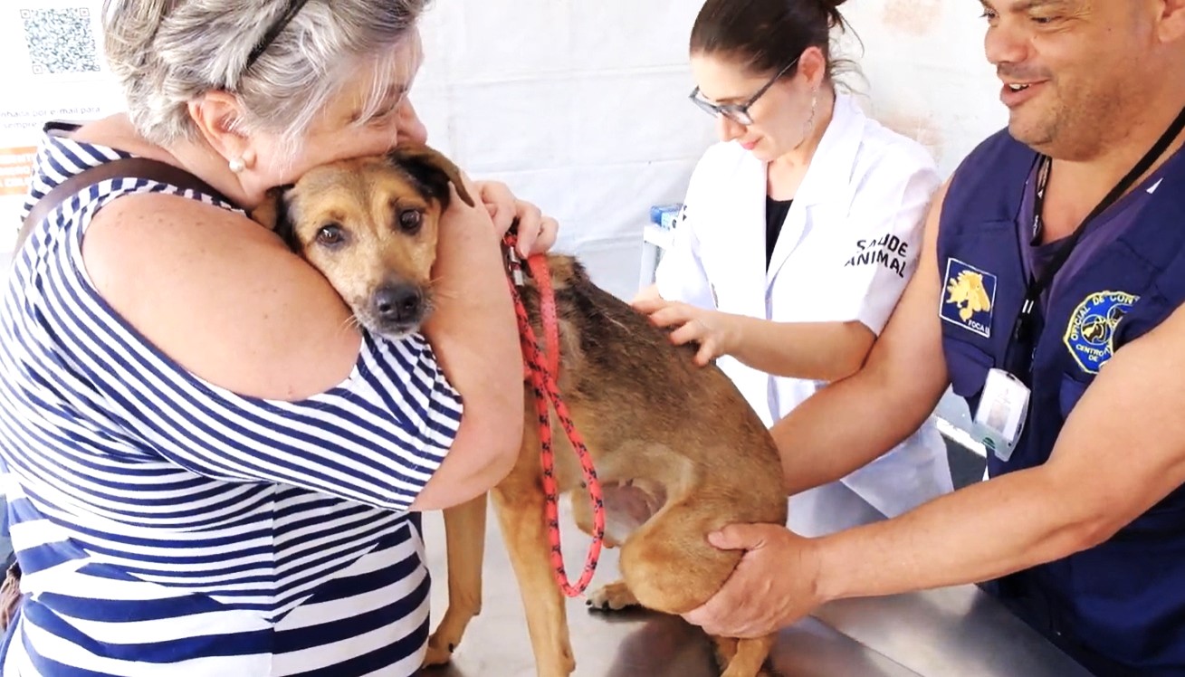 A imagem mostra uma cena de atendimento veterinário. No centro, um cachorro de porte médio e pelagem marrom está sendo examinado por uma profissional de jaleco branco, que parece aplicar ou verificar um procedimento de saúde no animal. O cão está visivelmente amparado por duas pessoas: de um lado, uma mulher de cabelos grisalhos e blusa listrada o abraça com carinho e conforto, enquanto do outro, um homem com colete azul, identificado como servidor de zoonoses ou controle animal, segura o animal para auxiliar no procedimento. O cachorro tem um olhar atento e um pouco apreensivo, transmitindo a sensibilidade do momento, mas está protegido pelo cuidado coletivo. A cena passa a sensação de acolhimento, responsabilidade e carinho no atendimento veterinário.