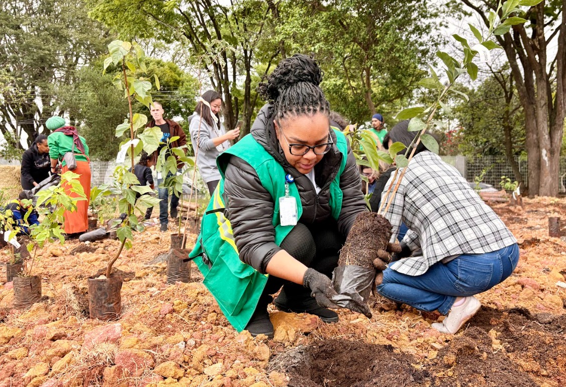 A imagem mostra um grupo de pessoas participando de uma ação de plantio de mudas em uma área arborizada. Em primeiro plano, uma mulher usando colete verde e luvas de jardinagem segura uma muda e se prepara para colocá-la no solo. Ao lado dela, outra pessoa ajuda na atividade. Ao fundo, outras pessoas também participam do plantio, manuseando mudas e ferramentas. O ambiente é ao ar livre, com árvores e vegetação, transmitindo uma atmosfera de colaboração e cuidado ambiental.