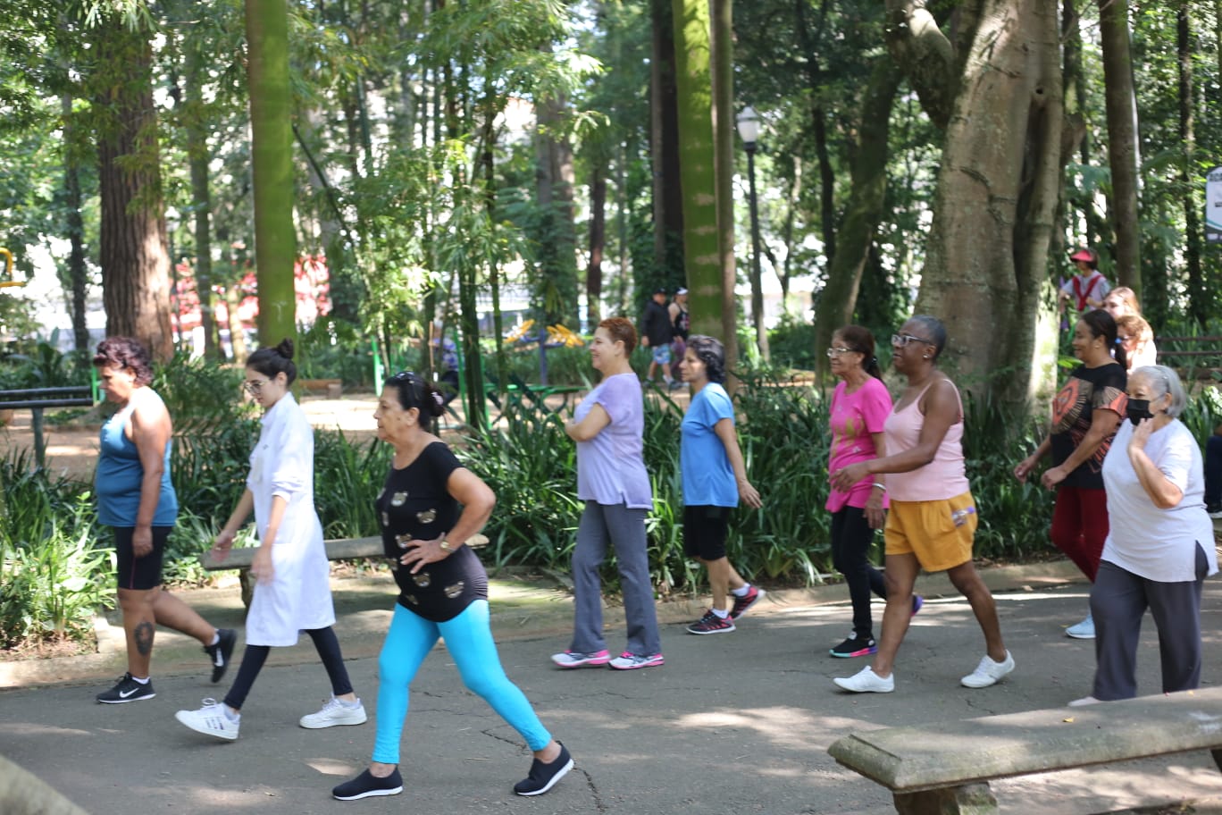 A imagem mostra um grupo de pessoas caminhando juntas em um parque arborizado. A maioria aparenta ser de mulheres adultas e idosas, vestindo roupas confortáveis para atividade física, como camisetas, leggings e tênis.  Elas estão andando em fila ao longo de um caminho pavimentado, algumas com postura de alongamento ou movimento mais ativo, sugerindo que pode ser uma caminhada orientada ou atividade em grupo.  O ambiente é tranquilo e verde, com muitas árvores altas, plantas ao redor e sombras naturais, indicando um espaço ao ar livre agradável. Ao fundo, há outras pessoas e elementos do parque, como bancos e áreas de convivência.