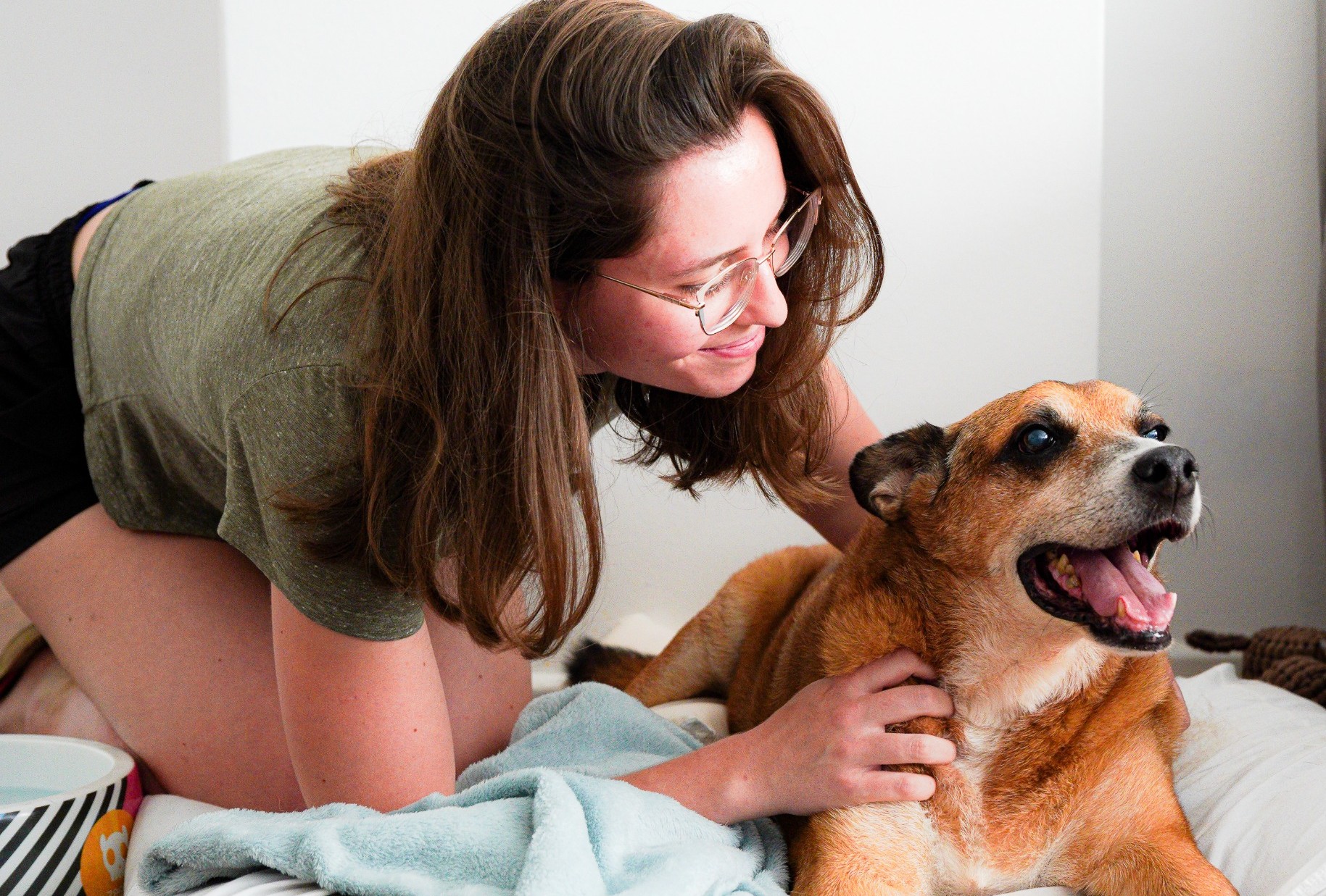 A imagem mostra uma mulher inclinada sobre uma cama, acariciando um cachorro de porte médio, de pelagem marrom. Ela usa óculos, camiseta verde e parece sorrir enquanto olha para o animal, demonstrando carinho e atenção. O cachorro está deitado sobre uma manta clara, com a boca aberta e a língua para fora, aparentando estar relaxado e feliz. O ambiente é simples e bem iluminado, com paredes claras, transmitindo uma sensação de conforto e tranquilidade