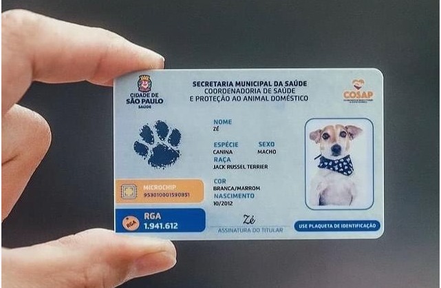 A imagem mostra uma pessoa segurando entre os dedos um cartão de identificação de animal doméstico (RGA – Registro Geral do Animal) emitido pela Prefeitura de São Paulo. No cartão aparecem as seguintes informações: Órgão emissor: Secretaria Municipal da Saúde – Coordenadoria de Saúde e Proteção ao Animal Doméstico (Cosap) Nome do animal: Zé Espécie: Canina Sexo: Macho Raça: Jack Russell Terrier Cor: Branca/marrom Nascimento: 10/2012 Número do microchip: impresso no cartão Número do RGA: 1.941.612 Assinatura do titular: campo com a assinatura