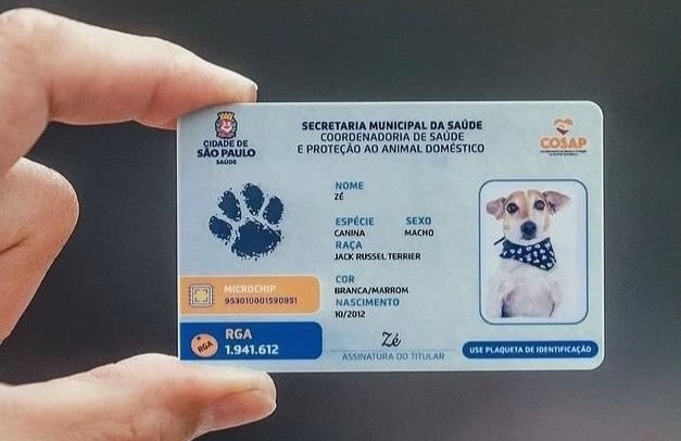 A imagem mostra uma pessoa segurando entre os dedos um cartão de identificação de animal doméstico (RGA – Registro Geral do Animal) emitido pela Prefeitura de São Paulo. No cartão aparecem as seguintes informações: Órgão emissor: Secretaria Municipal da Saúde – Coordenadoria de Saúde e Proteção ao Animal Doméstico (Cosap) Nome do animal: Zé Espécie: Canina Sexo: Macho Raça: Jack Russell Terrier Cor: Branca/marrom Nascimento: 10/2012 Número do microchip: impresso no cartão Número do RGA: 1.941.612 Assinatura do titular: campo com a assinatura